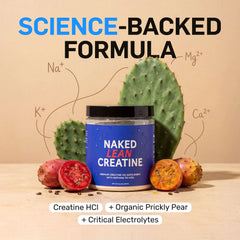 Creatine HCl Powder | Naked Lean Creatine - 232g