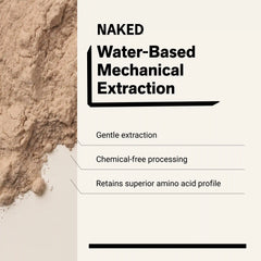 Chocolate Peanut Butter Pea Protein Powder | Naked Pea - 2LB