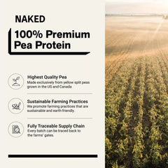 Chocolate Peanut Butter Pea Protein Powder | Naked Pea - 2LB